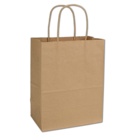 BOLSA KRAFT MEDIANA CON MANIJA